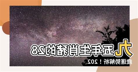 九五年 生肖